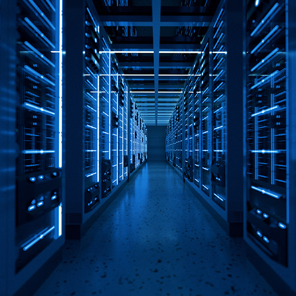 Survey & Data Services