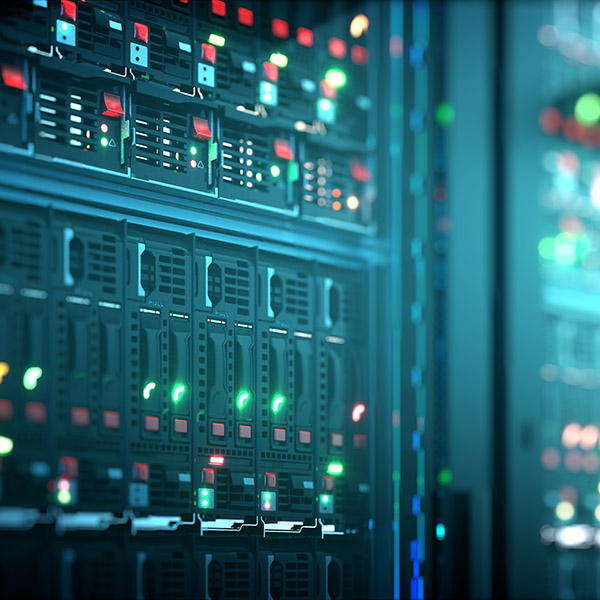 Survey & Data Services